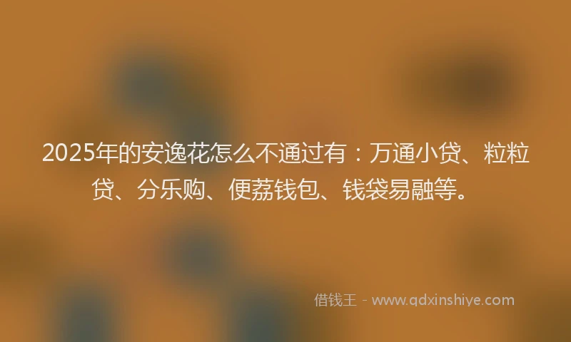 2025年的安逸花怎么不通过有：万通小贷、粒粒贷、分乐购、便荔钱包、钱袋易融等。