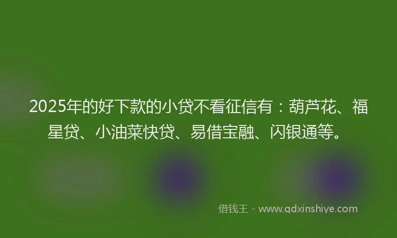 2025年的好下款的小贷不看征信有：葫芦花、福星贷、小油菜快贷、易借宝融、闪银通等。