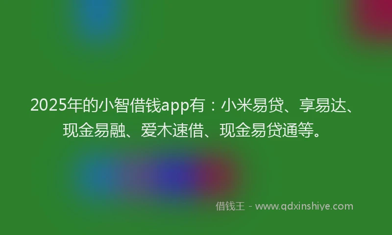 2025年的小智借钱app有：小米易贷、享易达、现金易融、爱木速借、现金易贷通等。