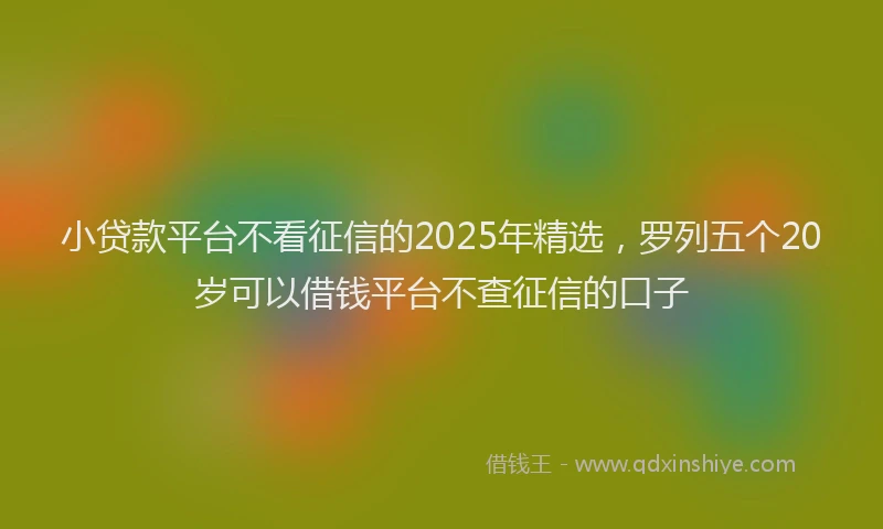 小贷款平台不看征信的2025年精选，罗列五个20岁可以借钱平台不查征信的口子