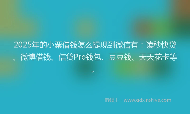 2025年的小粟借钱怎么提现到微信有：读秒快贷、微博借钱、信贷Pro钱包、豆豆钱、天天花卡等。