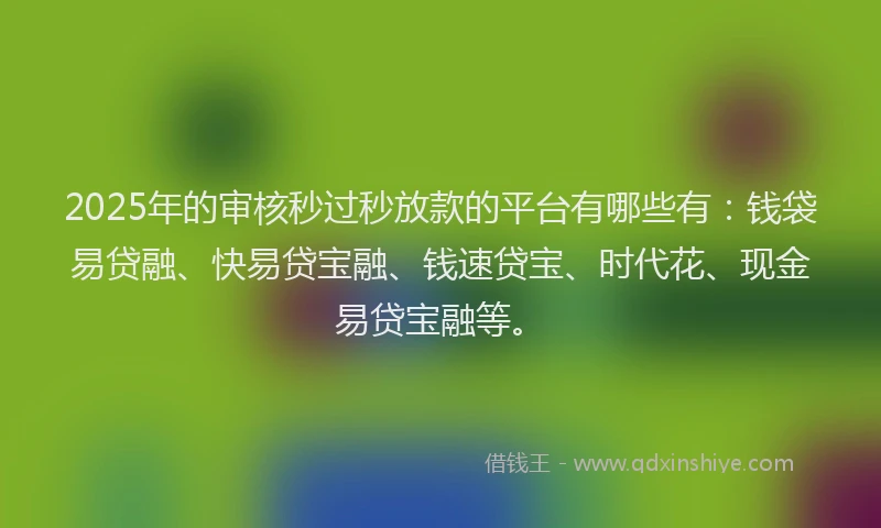 2025年的审核秒过秒放款的平台有哪些有：钱袋易贷融、快易贷宝融、钱速贷宝、时代花、现金易贷宝融等。