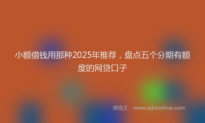 小额借钱用那种2025年推荐,盘点五个分期有额度的网贷口子