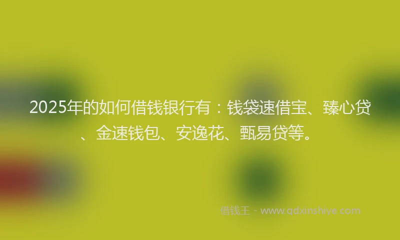 2025年的如何借钱银行有：钱袋速借宝、臻心贷、金速钱包、安逸花、甄易贷等。
