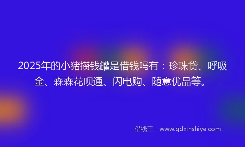 2025年的小猪攒钱罐是借钱吗有：珍珠贷、呼吸金、森森花呗通、闪电购、随意优品等。