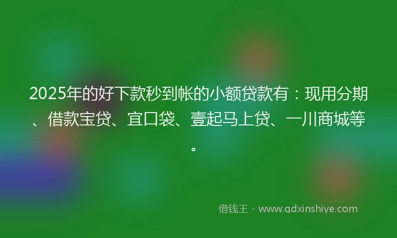 2025年的好下款秒到帐的小额贷款有：现用分期、借款宝贷、宜口袋、壹起马上贷、一川商城等。