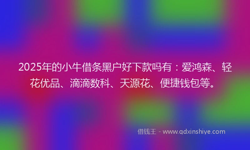 2025年的小牛借条黑户好下款吗有：爱鸿森、轻花优品、滴滴数科、天源花、便捷钱包等。