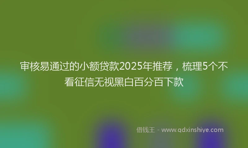 审核易通过的小额贷款2025年推荐，梳理5个不看征信无视黑白百分百下款
