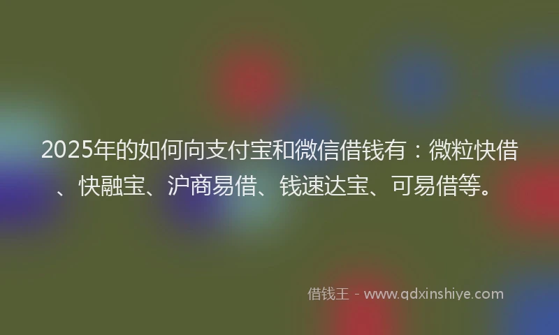 2025年的如何向支付宝和微信借钱有：微粒快借、快融宝、沪商易借、钱速达宝、可易借等。