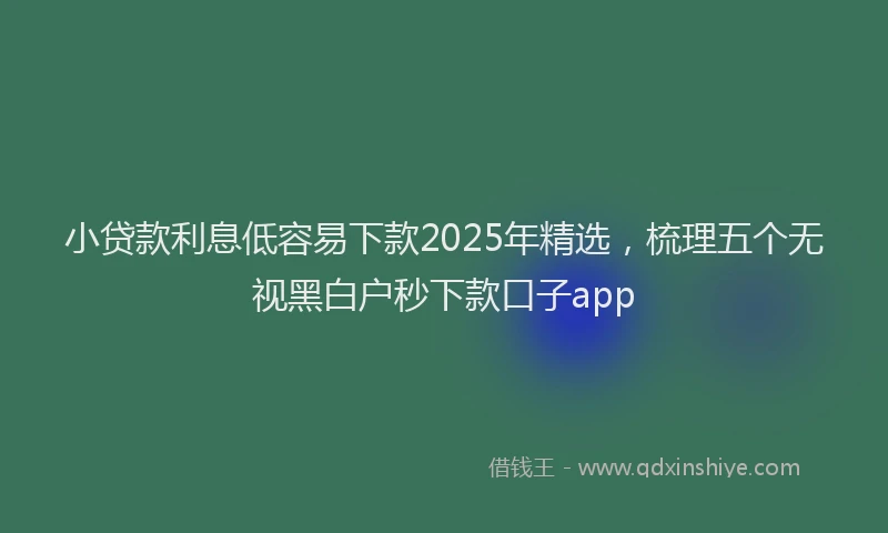 小贷款利息低容易下款2025年精选，梳理五个无视黑白户秒下款口子app