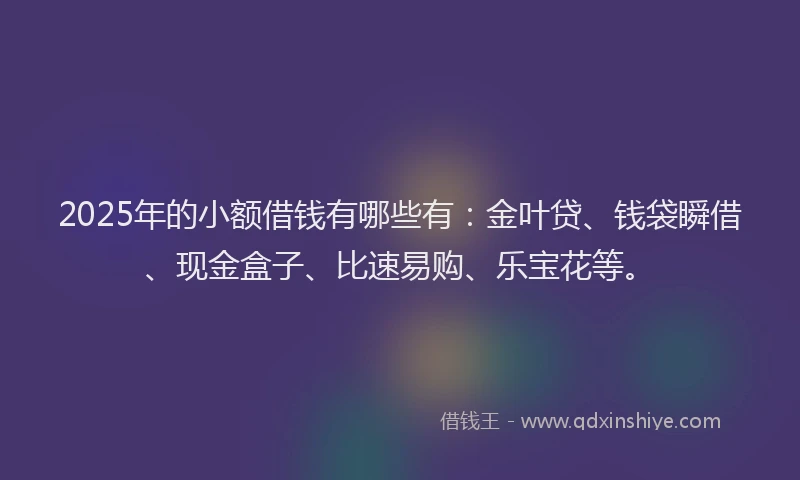 2025年的小额借钱有哪些有：金叶贷、钱袋瞬借、现金盒子、比速易购、乐宝花等。