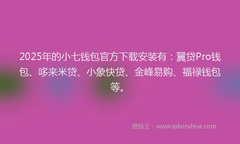 2025年的小七钱包官方下载安装有：翼贷Pro钱包、哆来米贷、小象快贷、金峰易购、福禄钱包等。