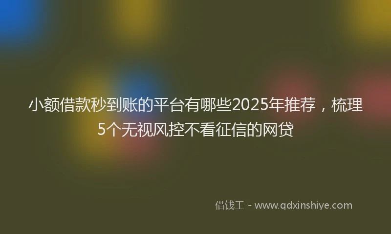小额借款秒到账的平台有哪些2025年推荐，梳理5个无视风控不看征信的网贷