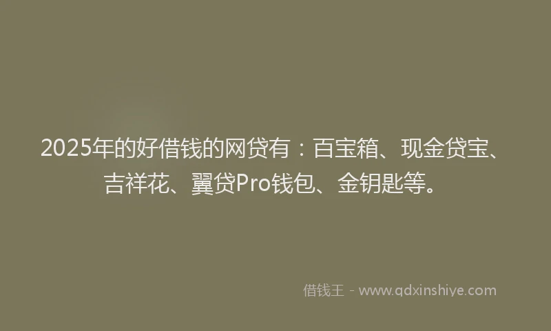 2025年的好借钱的网贷有：百宝箱、现金贷宝、吉祥花、翼贷Pro钱包、金钥匙等。