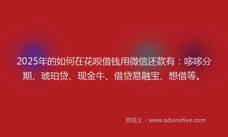 2025年的如何在花呗借钱用微信还款有：哆哆分期、琥珀贷、现金牛、借贷易融宝、想借等。
