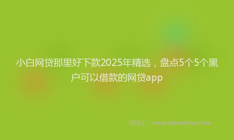 小白网贷那里好下款2025年精选，盘点5个5个黑户可以借款的网贷app