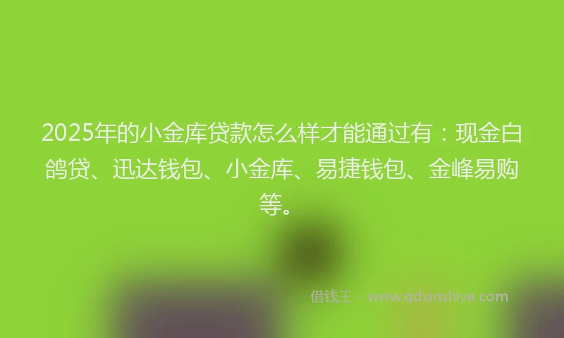 2025年的小金库贷款怎么样才能通过有：现金白鸽贷、迅达钱包、小金库、易捷钱包、金峰易购等。