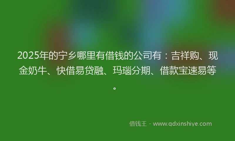 2025年的宁乡哪里有借钱的公司有：吉祥购、现金奶牛、快借易贷融、玛瑙分期、借款宝速易等。