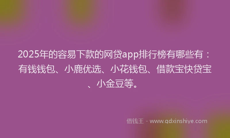 2025年的容易下款的网贷app排行榜有哪些有：有钱钱包、小鹿优选、小花钱包、借款宝快贷宝、小金豆等。
