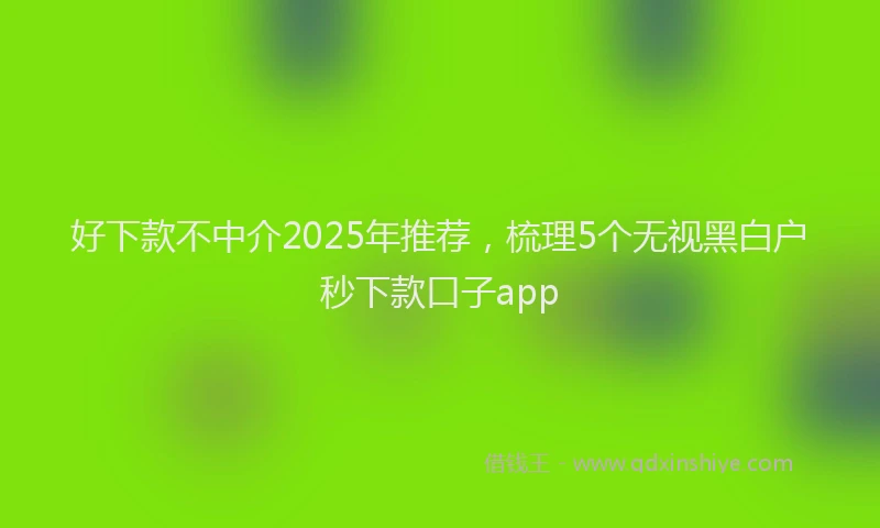 好下款不中介2025年推荐，梳理5个无视黑白户秒下款口子app