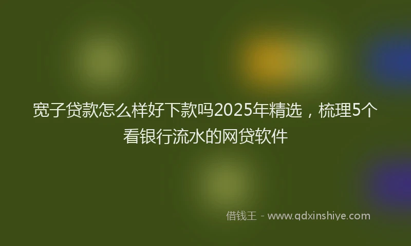 宽子贷款怎么样好下款吗2025年精选，梳理5个看银行流水的网贷软件