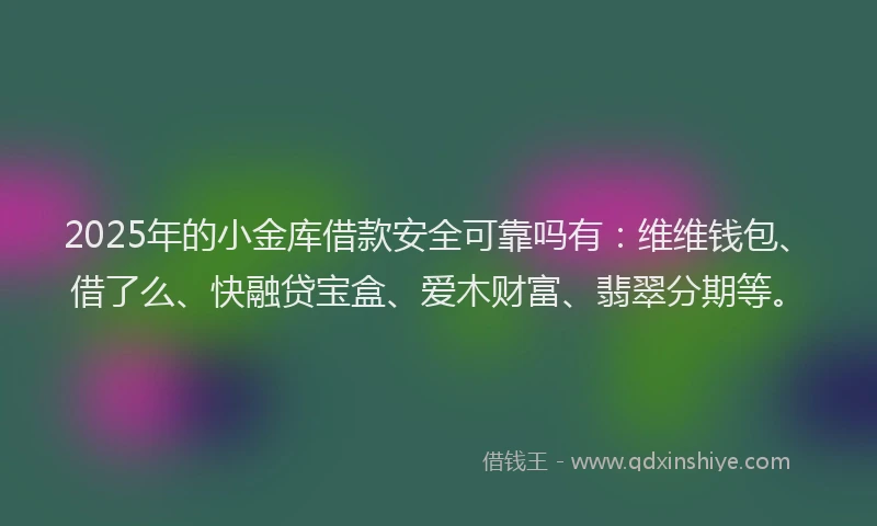 2025年的小金库借款安全可靠吗有：维维钱包、借了么、快融贷宝盒、爱木财富、翡翠分期等。