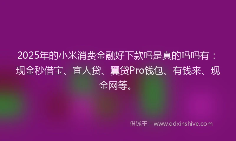 2025年的小米消费金融好下款吗是真的吗吗有：现金秒借宝、宜人贷、翼贷Pro钱包、有钱来、现金网等。