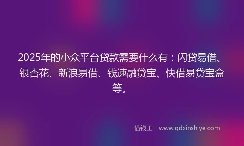 2025年的小众平台贷款需要什么有：闪贷易借、银杏花、新浪易借、钱速融贷宝、快借易贷宝盒等。