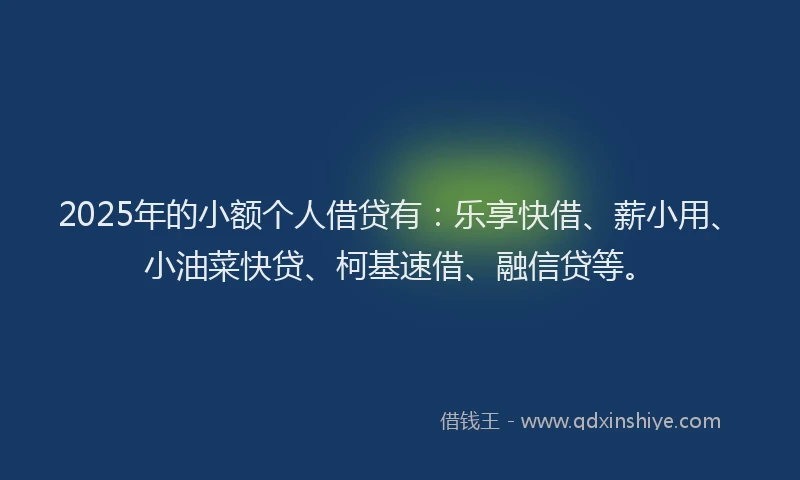2025年的小额个人借贷有：乐享快借、薪小用、小油菜快贷、柯基速借、融信贷等。
