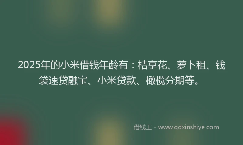 2025年的小米借钱年龄有：桔享花、萝卜租、钱袋速贷融宝、小米贷款、橄榄分期等。