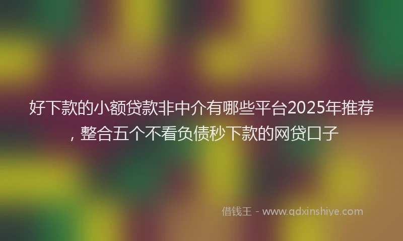 好下款的小额贷款非中介有哪些平台2025年推荐，整合五个不看负债秒下款的网贷口子