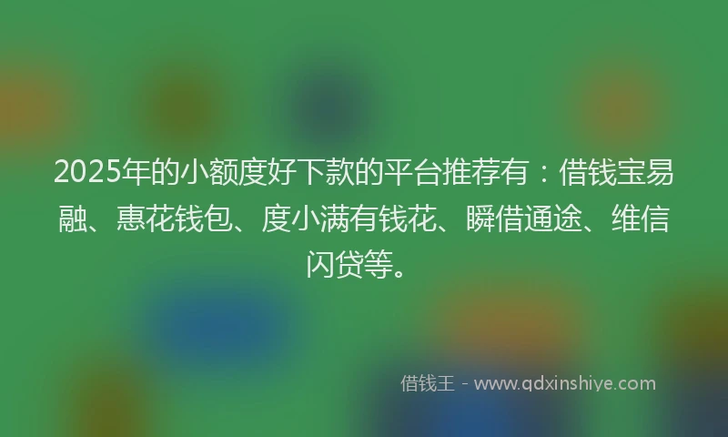 2025年的小额度好下款的平台推荐有：借钱宝易融、惠花钱包、度小满有钱花、瞬借通途、维信闪贷等。