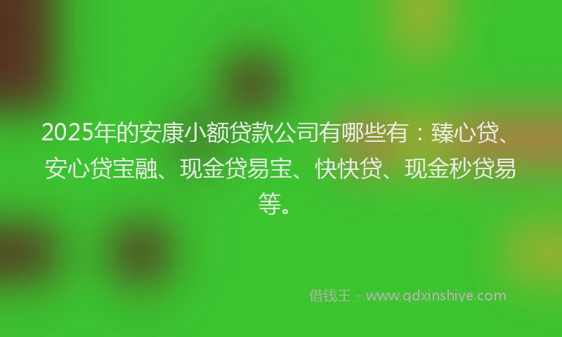 2025年的安康小额贷款公司有哪些有：臻心贷、安心贷宝融、现金贷易宝、快快贷、现金秒贷易等。