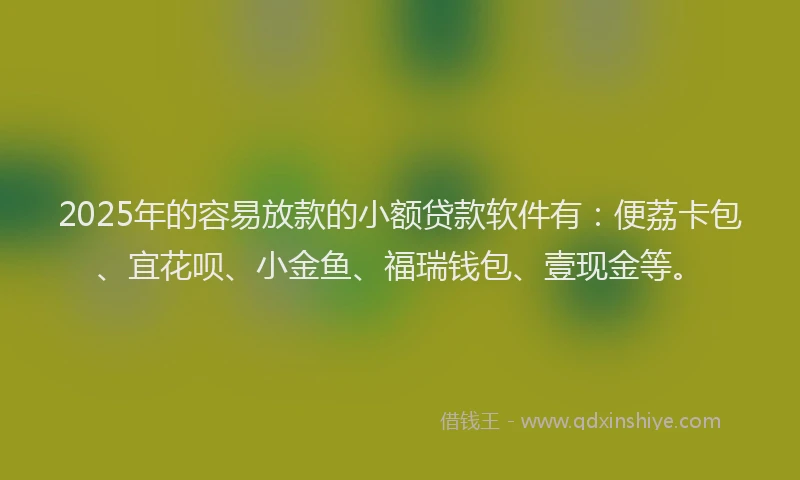 2025年的容易放款的小额贷款软件有：便荔卡包、宜花呗、小金鱼、福瑞钱包、壹现金等。