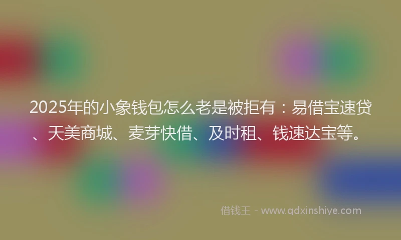 2025年的小象钱包怎么老是被拒有：易借宝速贷、天美商城、麦芽快借、及时租、钱速达宝等。