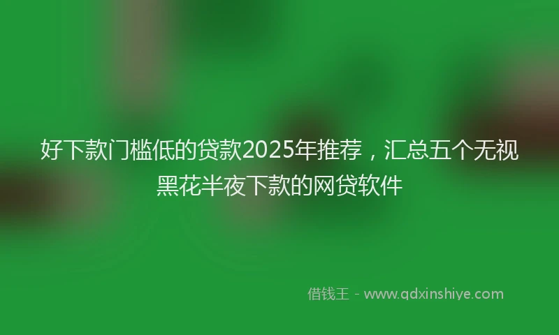 好下款门槛低的贷款2025年推荐，汇总五个无视黑花半夜下款的网贷软件