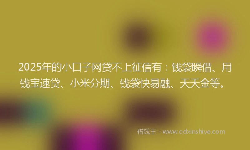 2025年的小口子网贷不上征信有：钱袋瞬借、用钱宝速贷、小米分期、钱袋快易融、天天金等。