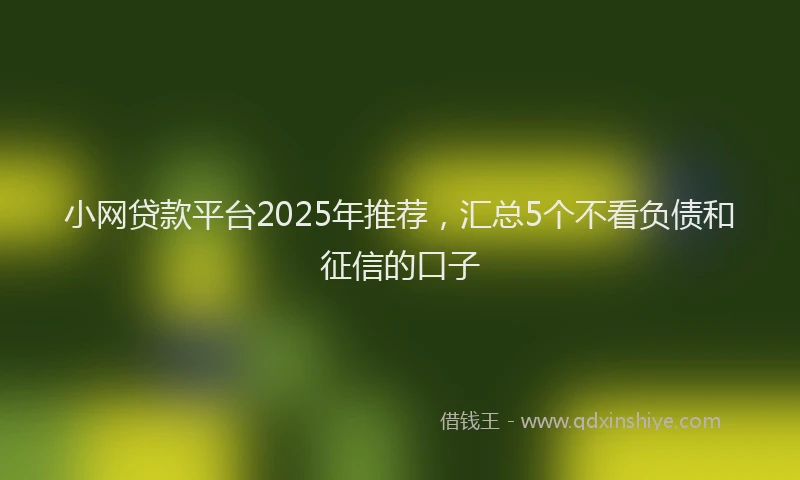 小网贷款平台2025年推荐，汇总5个不看负债和征信的口子