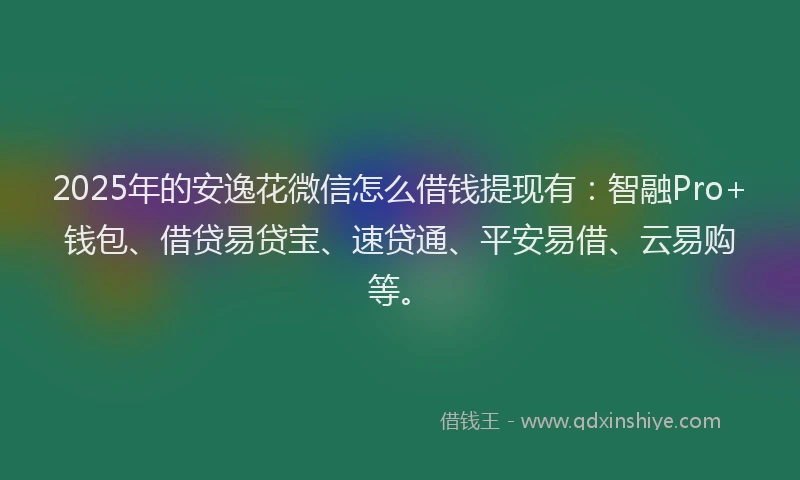 2025年的安逸花微信怎么借钱提现有：智融Pro+钱包、借贷易贷宝、速贷通、平安易借、云易购等。