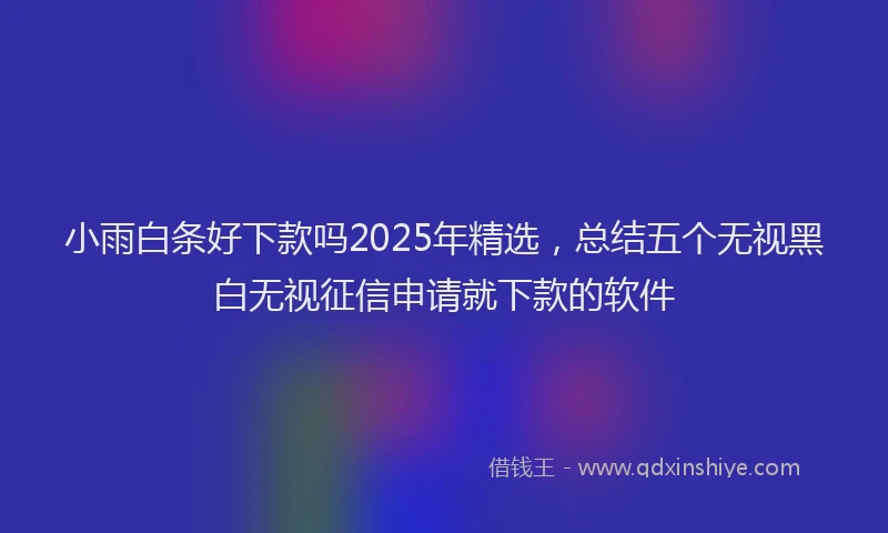 小雨白条好下款吗2025年精选，总结五个无视黑白无视征信申请就下款的软件