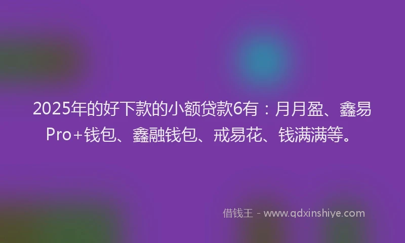 2025年的好下款的小额贷款6有：月月盈、鑫易Pro+钱包、鑫融钱包、戒易花、钱满满等。