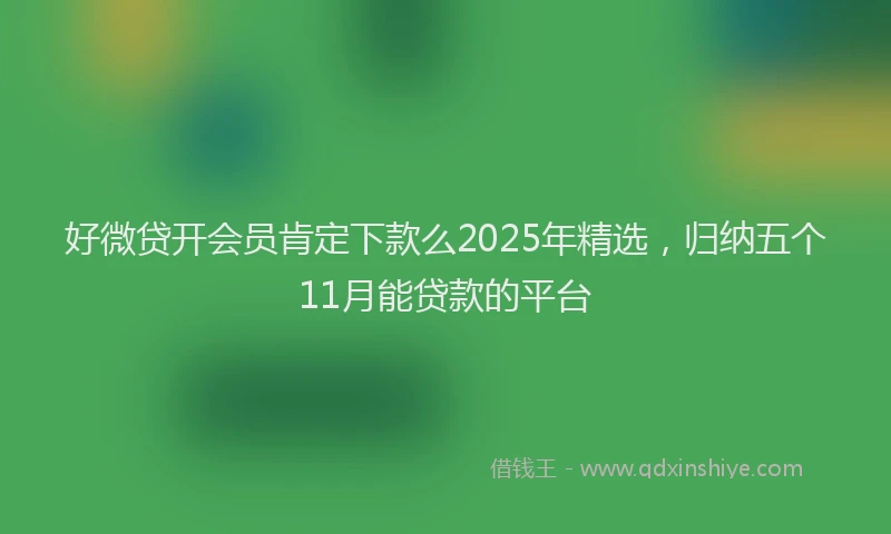 好微贷开会员肯定下款么2025年精选，归纳五个11月能贷款的平台