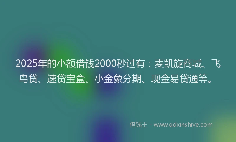 2025年的小额借钱2000秒过有：麦凯旋商城、飞鸟贷、速贷宝盒、小金象分期、现金易贷通等。