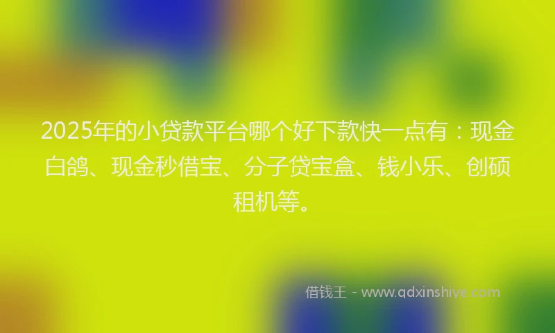 2025年的小贷款平台哪个好下款快一点有：现金白鸽、现金秒借宝、分子贷宝盒、钱小乐、创硕租机等。