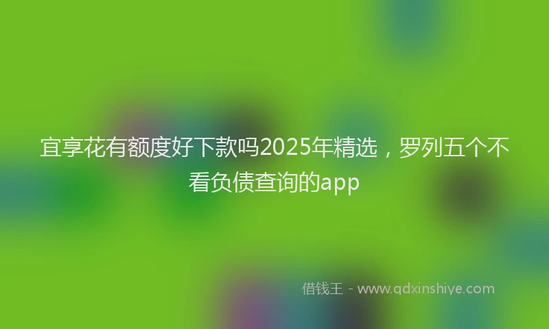 宜享花有额度好下款吗2025年精选，罗列五个不看负债查询的app