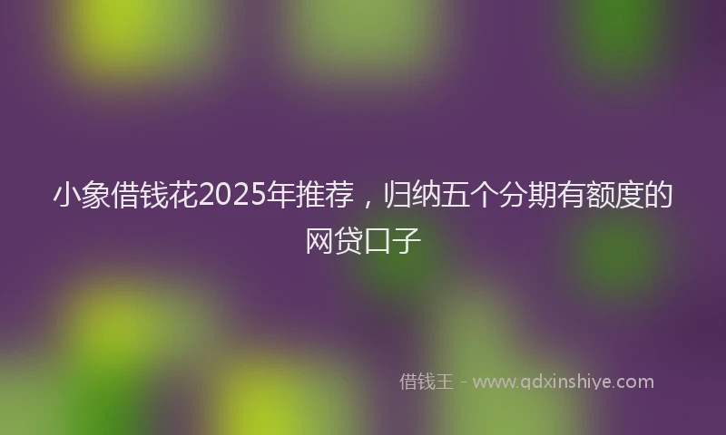 小象借钱花2025年推荐，归纳五个分期有额度的网贷口子