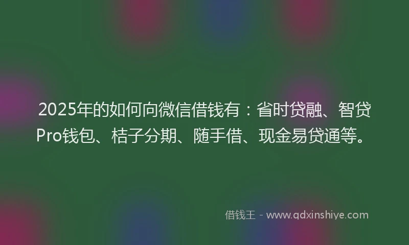 2025年的如何向微信借钱有：省时贷融、智贷Pro钱包、桔子分期、随手借、现金易贷通等。
