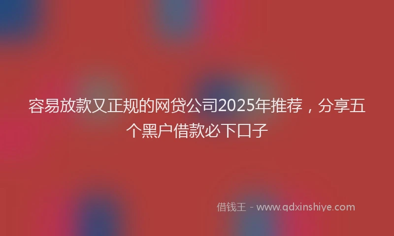 容易放款又正规的网贷公司2025年推荐，分享五个黑户借款必下口子