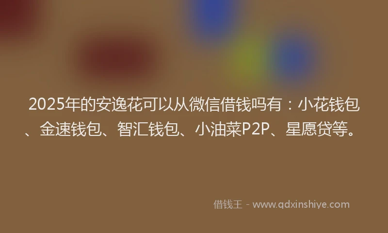 2025年的安逸花可以从微信借钱吗有：小花钱包、金速钱包、智汇钱包、小油菜P2P、星愿贷等。