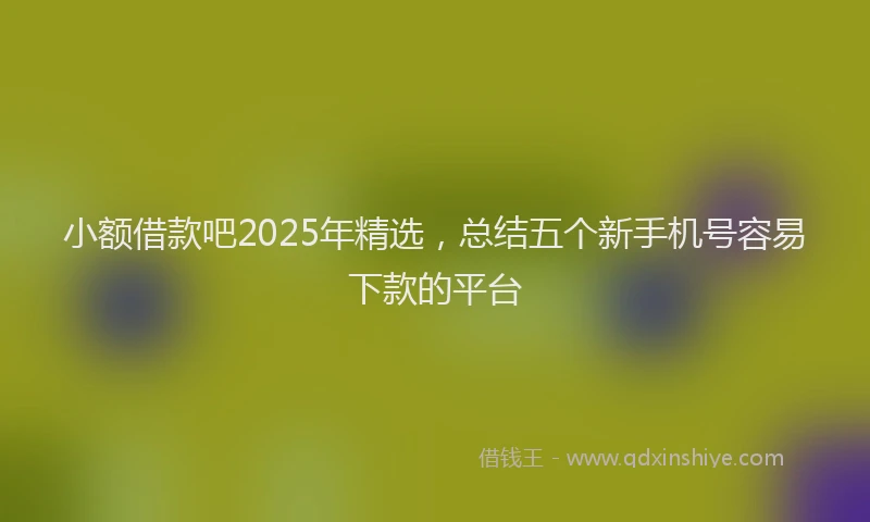 小额借款吧2025年精选，总结五个新手机号容易下款的平台